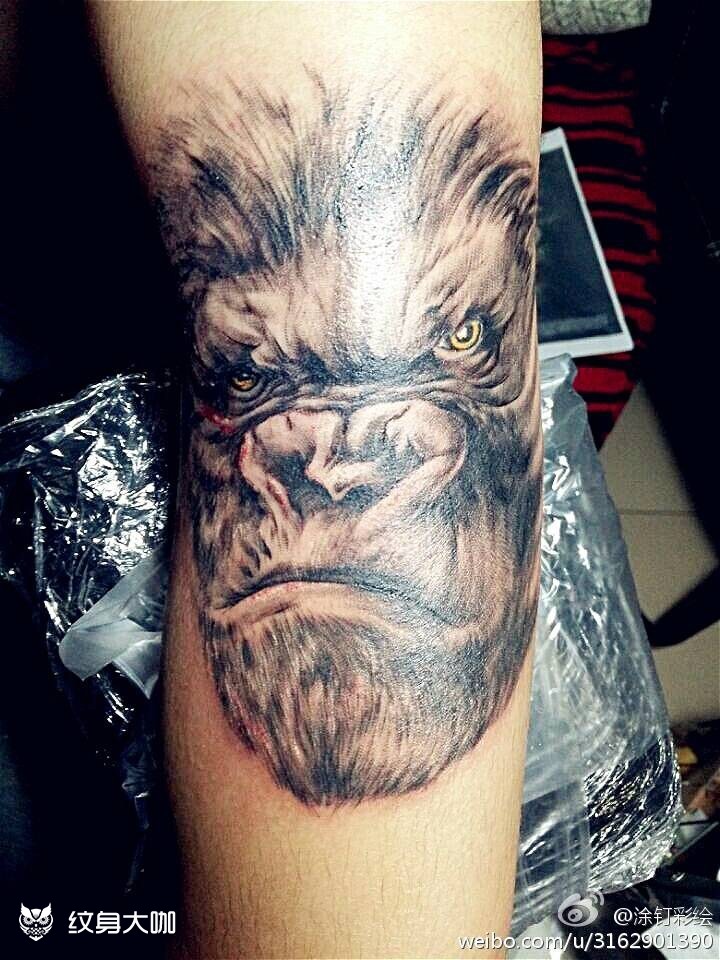 金刚_纹身图案手稿图片_阿涂的纹身作品集