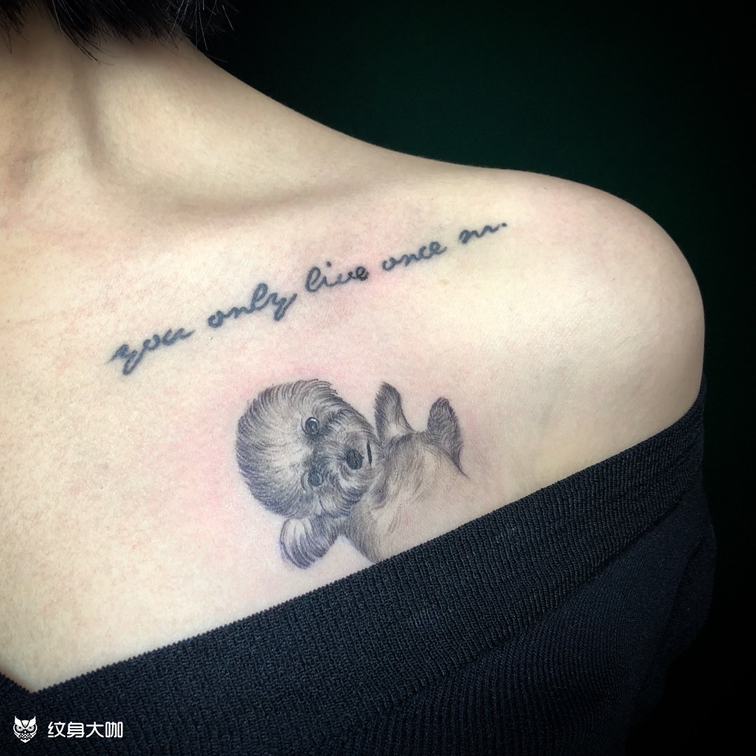 小比熊_纹身图案手稿图片_腰果的纹身作品集