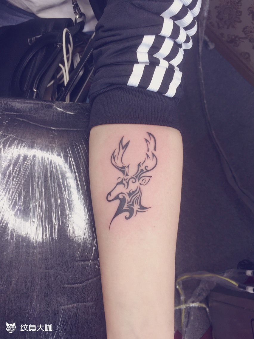 鹿头_纹身图案手稿图片_影子的纹身作品集