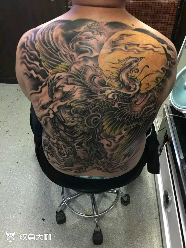满背凤凰_纹身图案手稿图片_super_万的纹身作品集