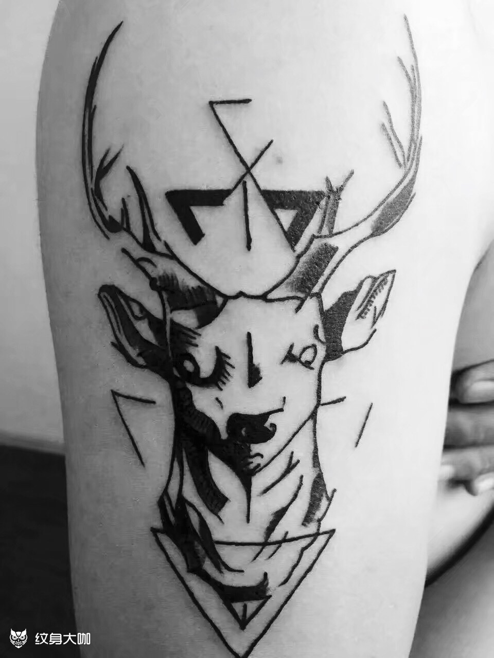 鹿_纹身图案手稿图片_黑马tattoo的纹身作品集