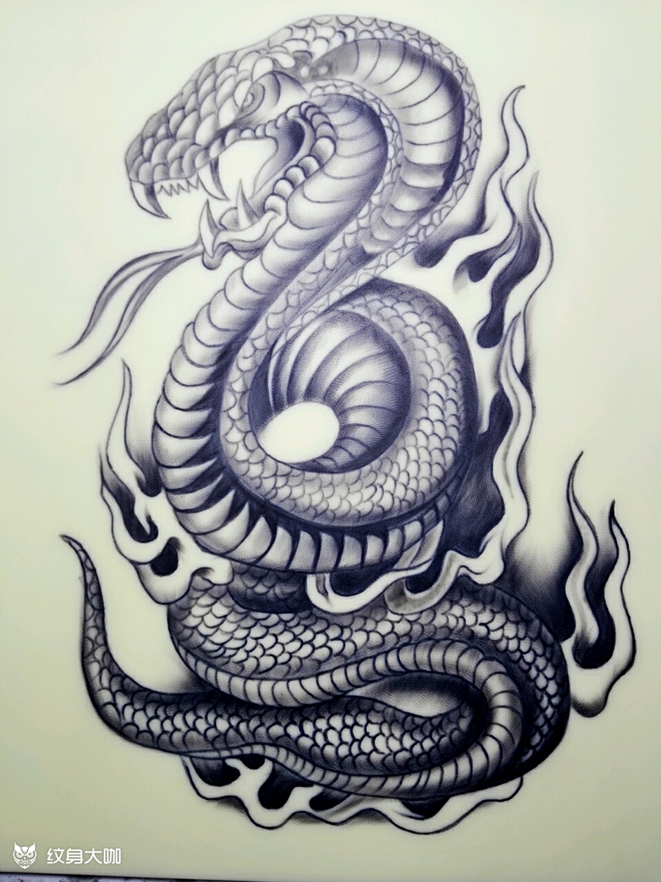 眼睛蛇_纹身图案手稿图片_凌云刺客的纹身作品集