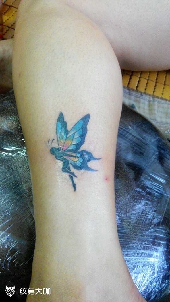 蝴蝶仙子_纹身图案手稿图片_彭磊的纹身作品集