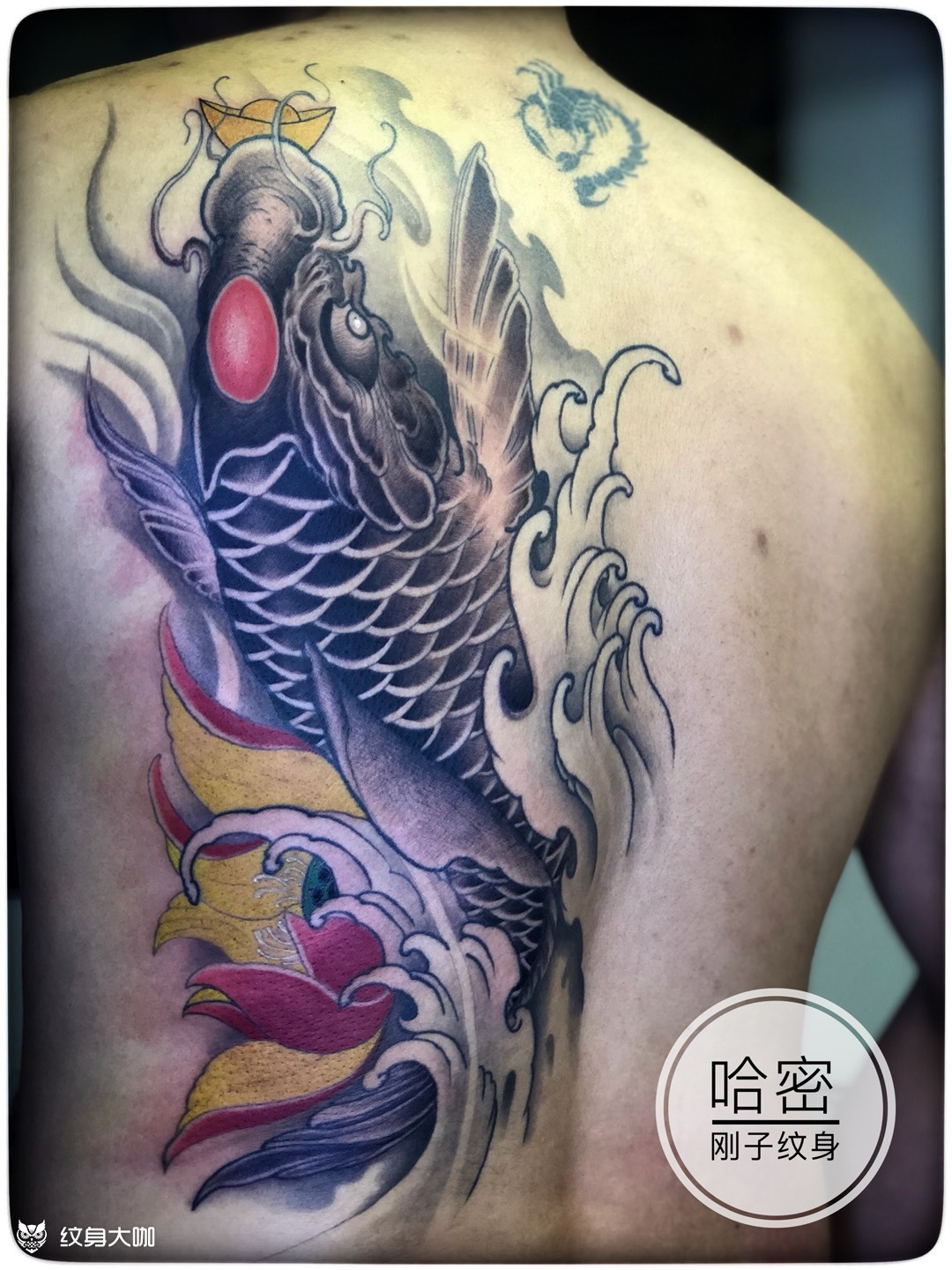 半背鲤鱼_纹身图案手稿图片_哈密刚子纹身-创始人的纹身作品集