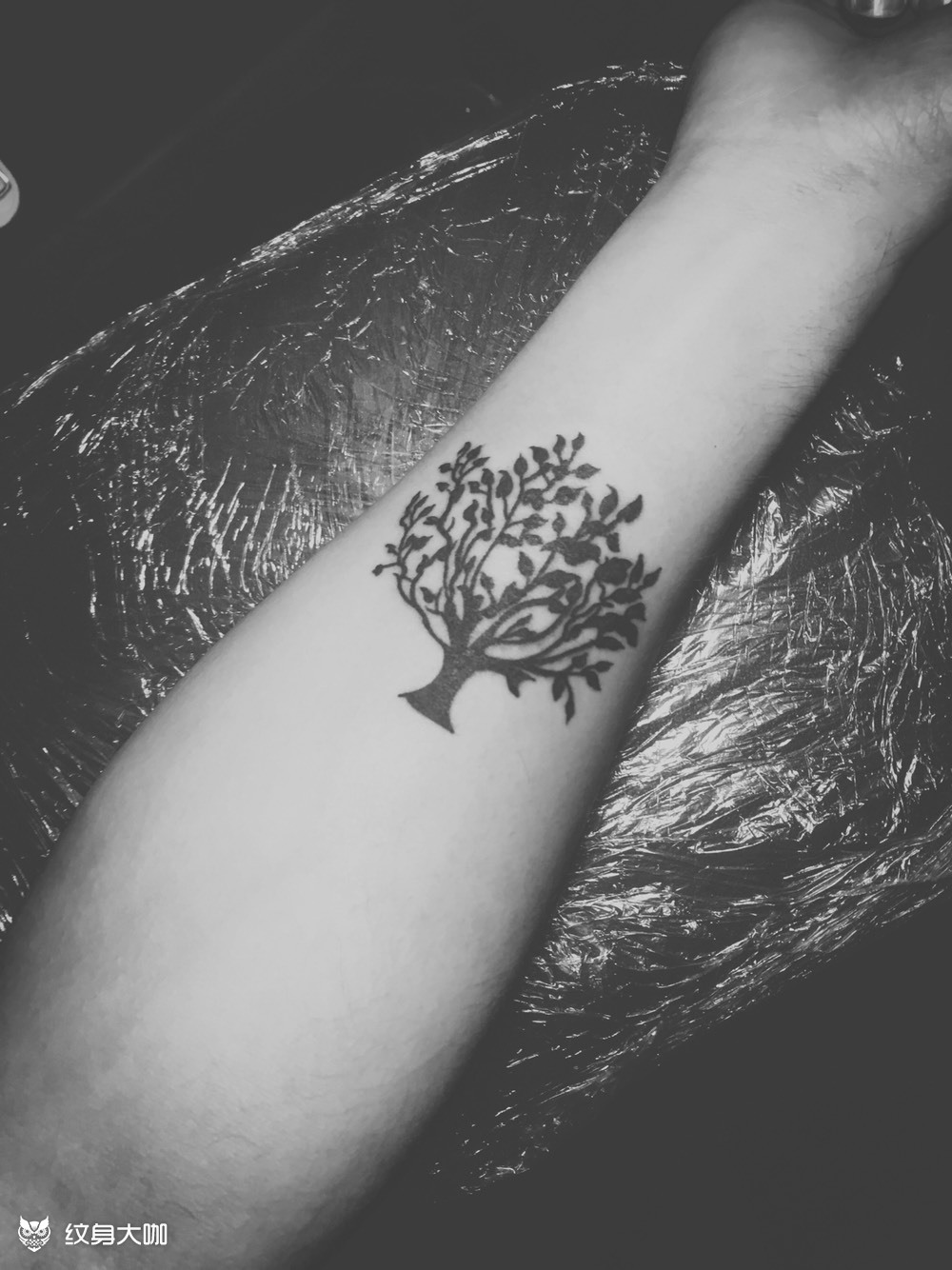 一棵树_纹身图案手稿图片_森tattoo主理人 林森的纹身作品集