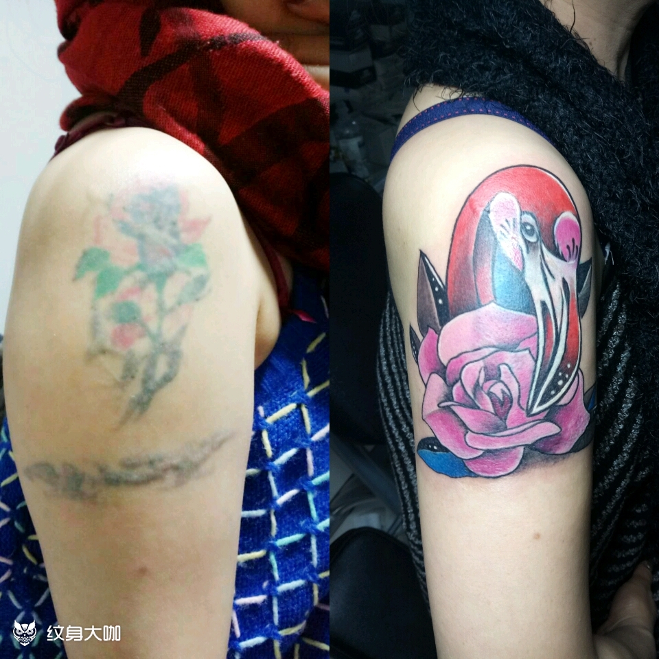 火烈鸟遮盖旧纹身_纹身图案手稿图片_云中雕龙的纹身作品集