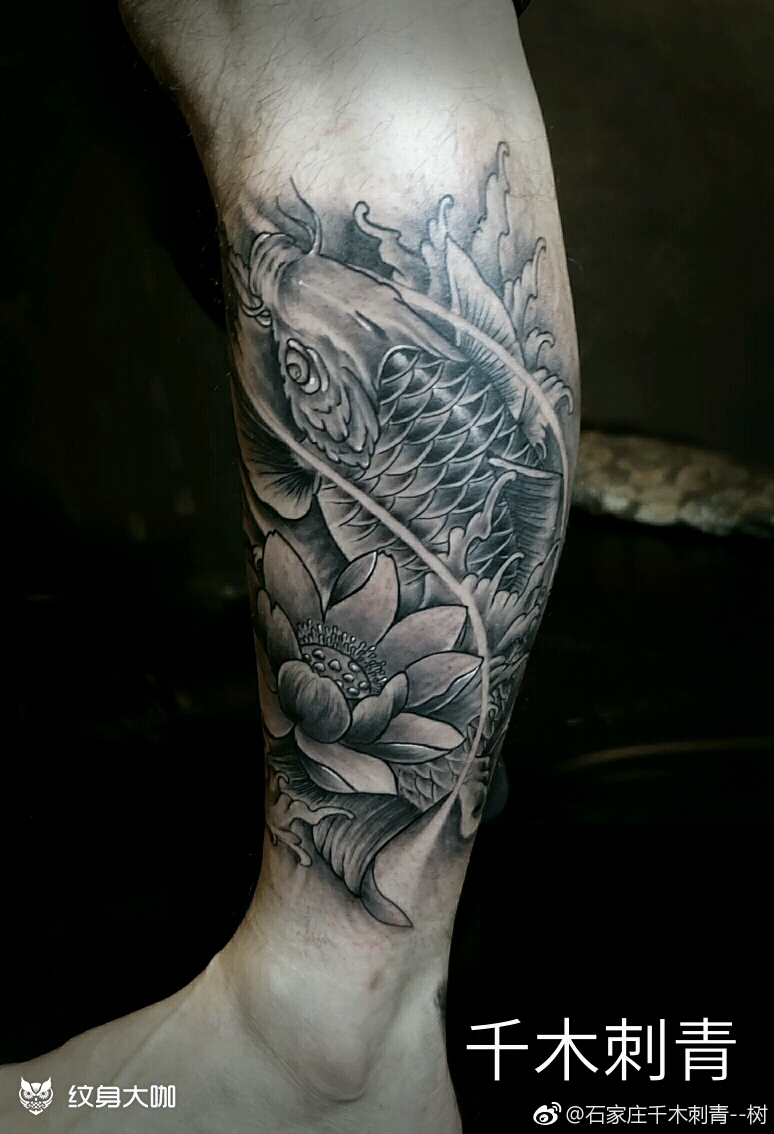 小腿鲤鱼_纹身图案手稿图片_tattoo--sy的纹身作品集