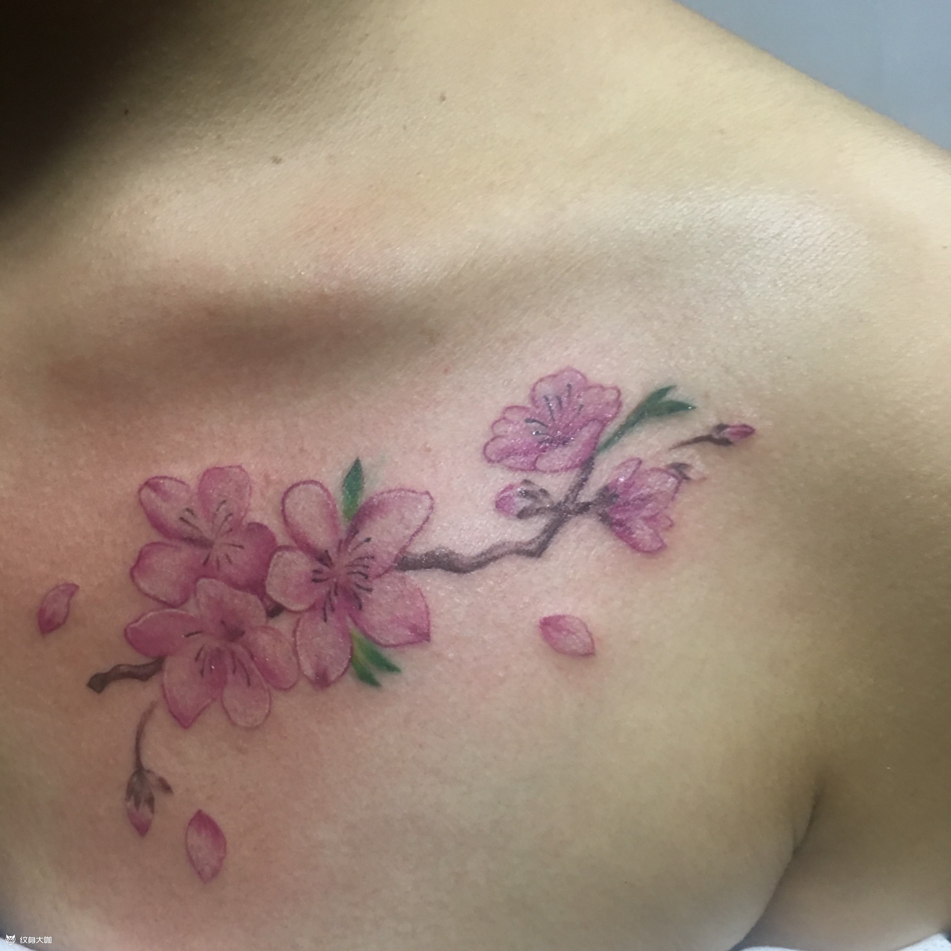 花_纹身图案手稿图片_小小梓的纹身作品集