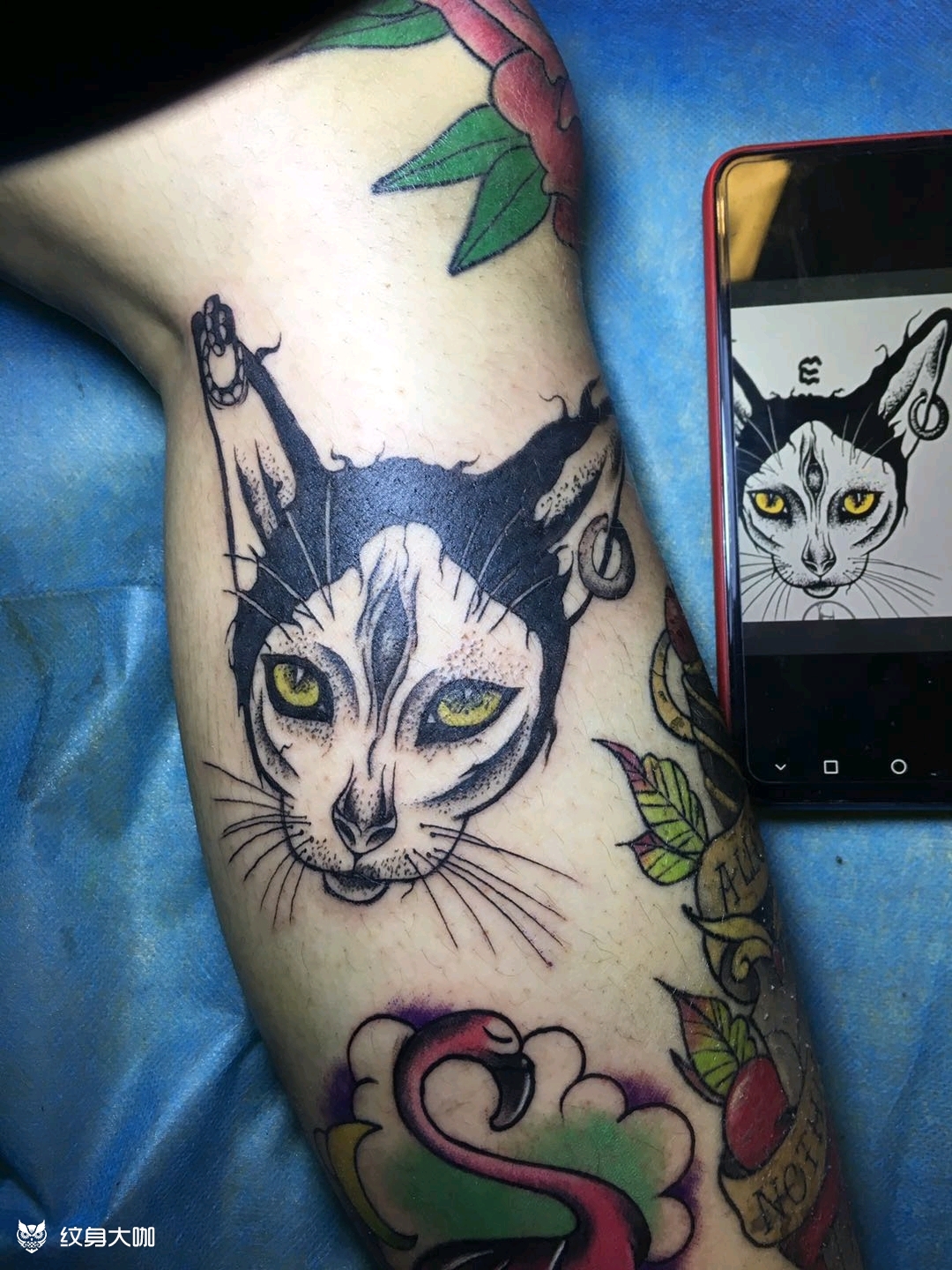 欧美猫_纹身图案手稿图片_五九的纹身作品集