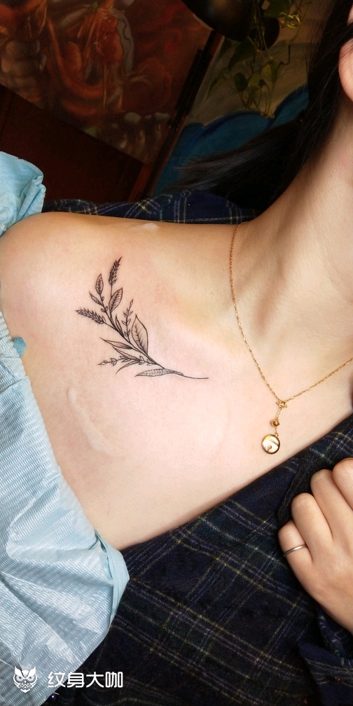 小清新纹身锁骨纹身_纹身图案手稿图片_影tattoo的纹身作品集