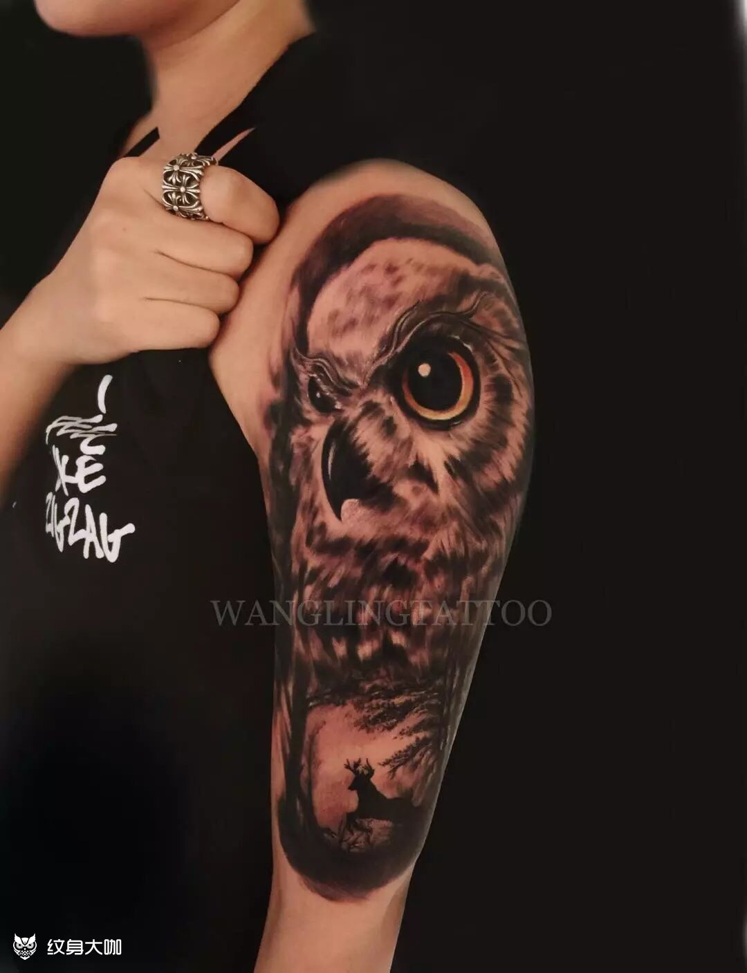猫头鹰纹身图片胸前图片