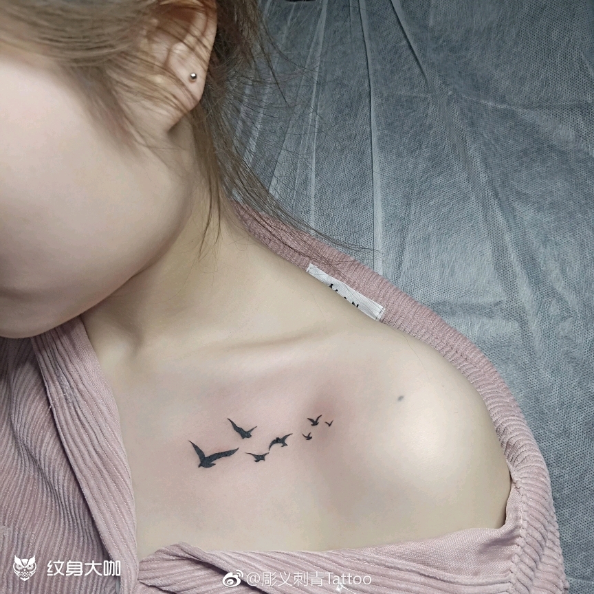 小海鸥_纹身图案手稿图片_童宇的纹身作品集