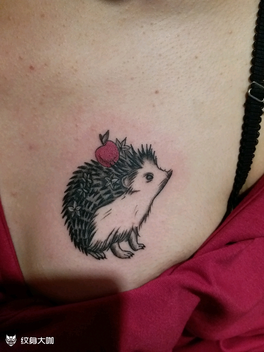 小刺猬_纹身图案手稿图片_金灿的纹身作品集