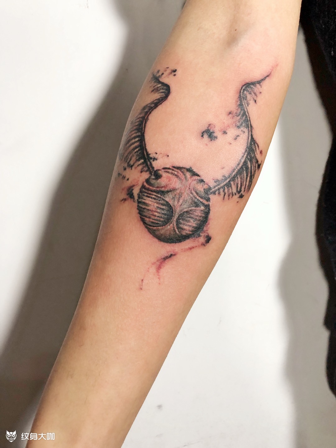 金色飞贼_纹身图案手稿图片_李慧的纹身作品集