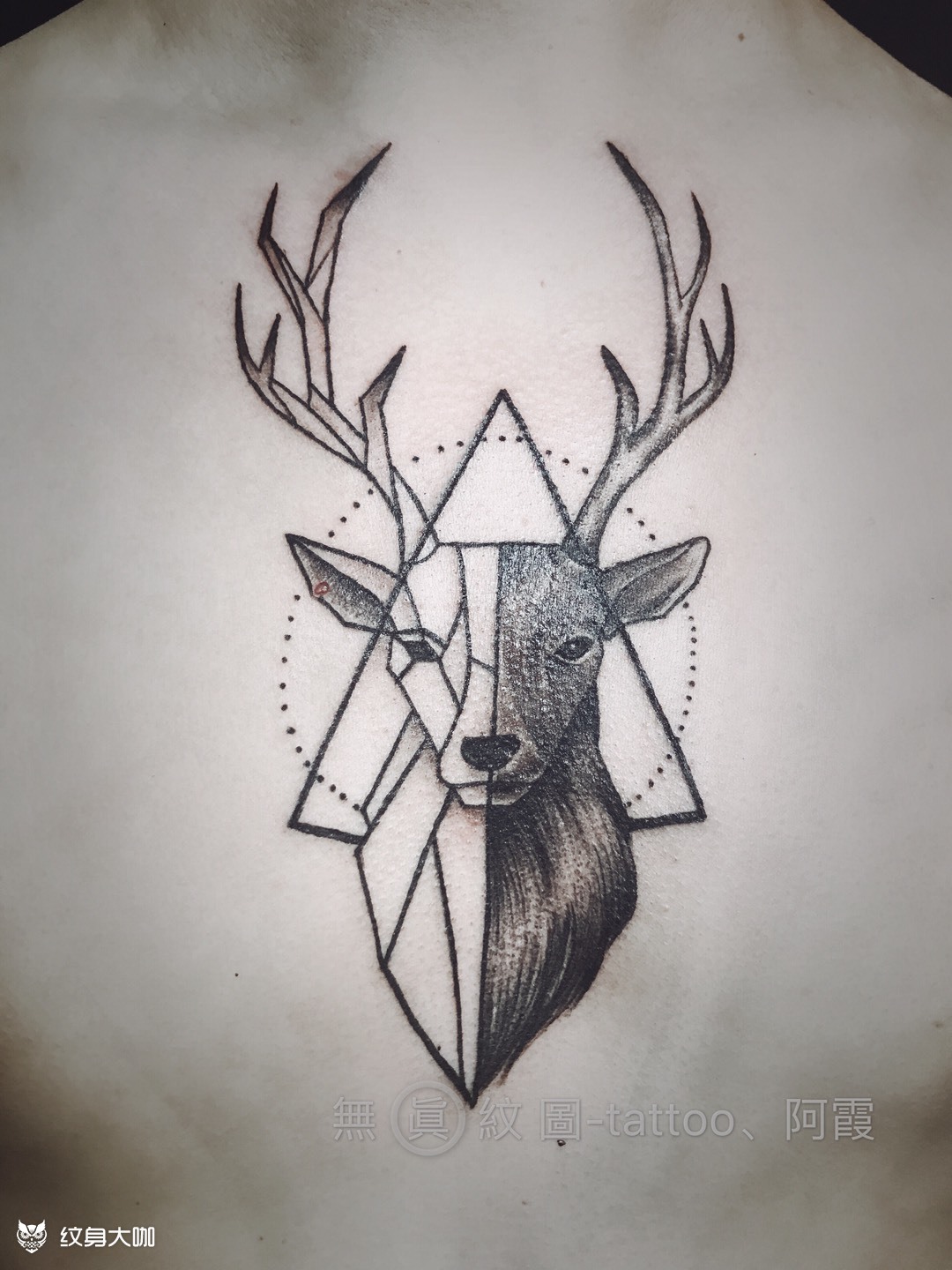 几何鹿_纹身图案手稿图片_阿霞的纹身作品集