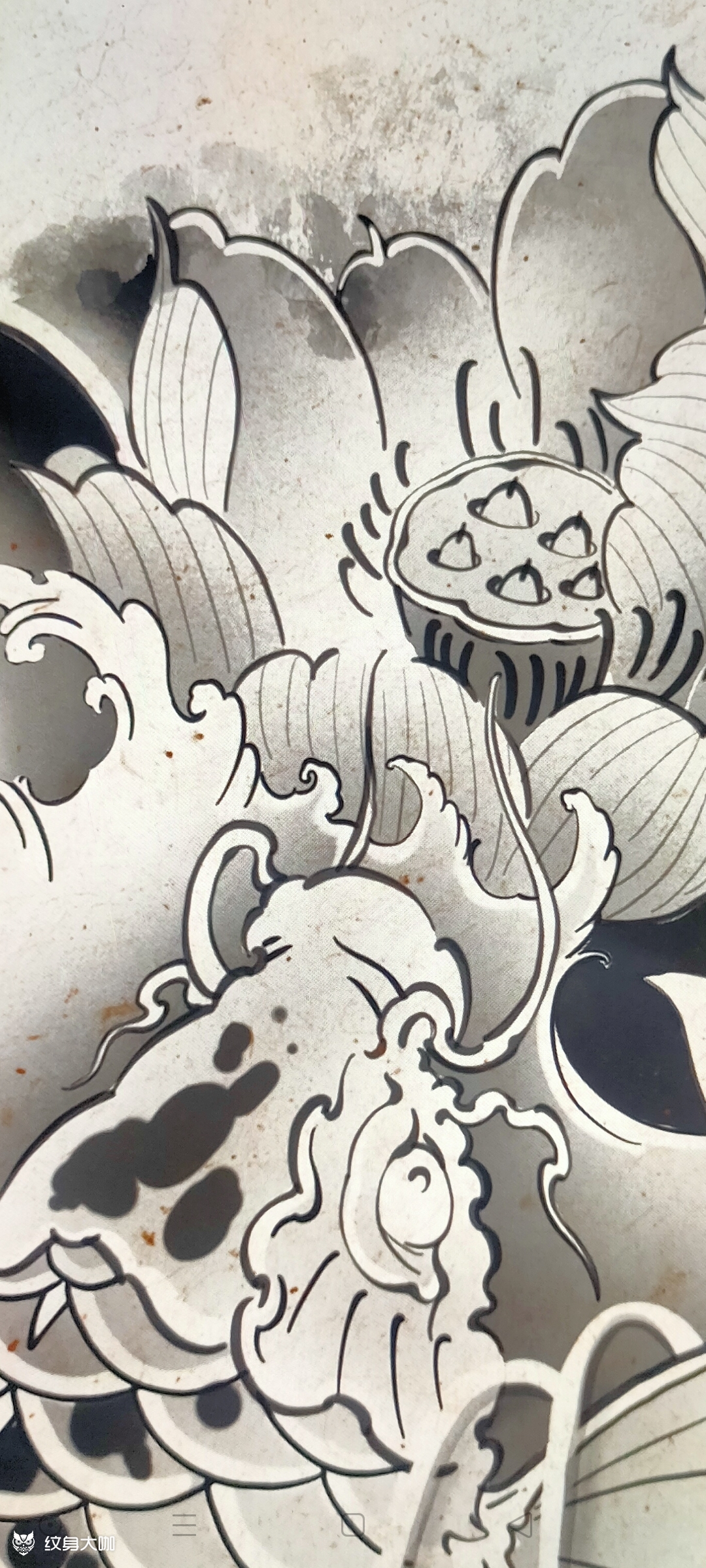 原创设计【太极锦鲤】遮盖图我_纹身吧社区 - 纹身大咖