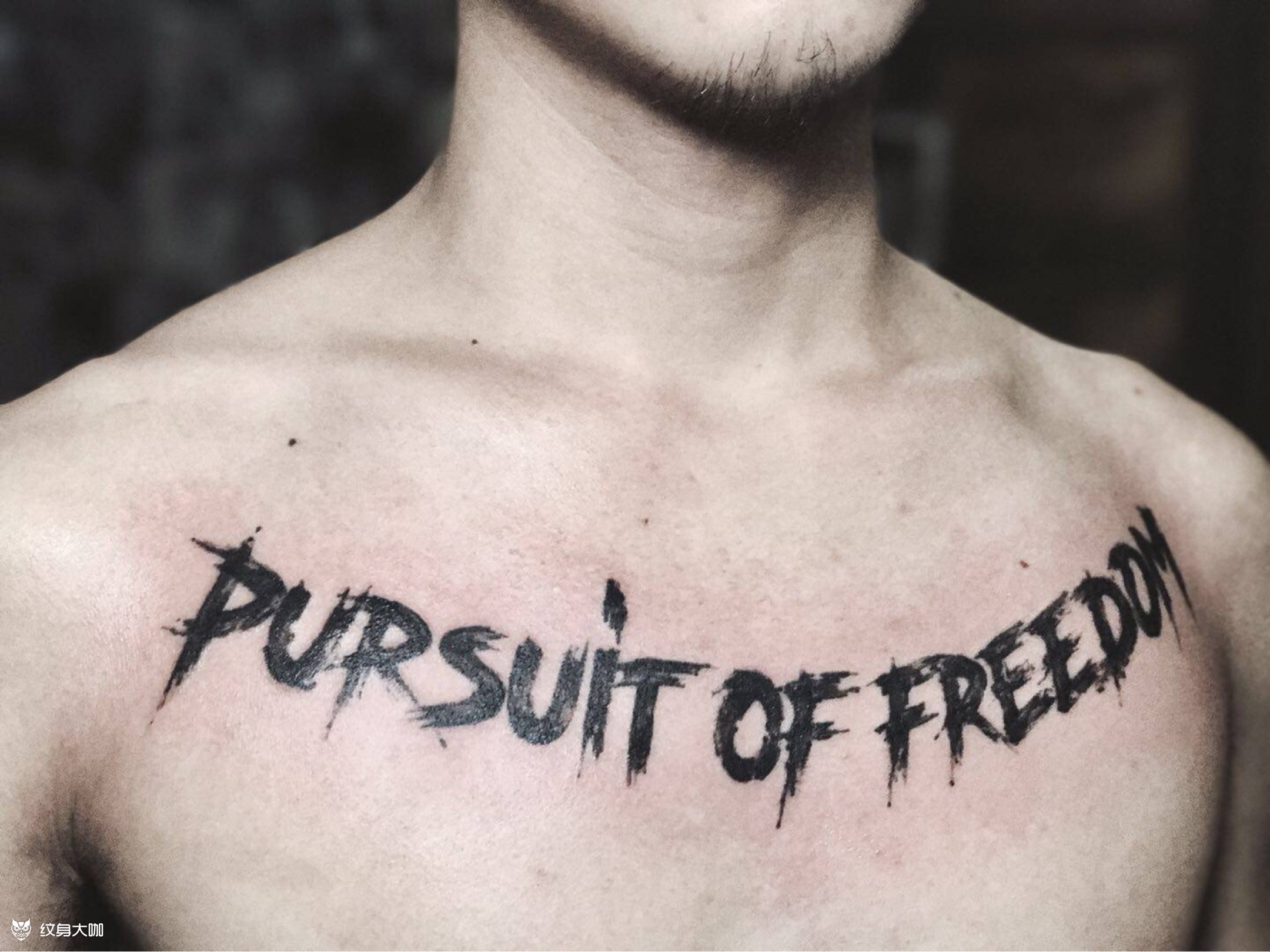 英文花胸_纹身图案手稿图片_巴特的纹身作品集