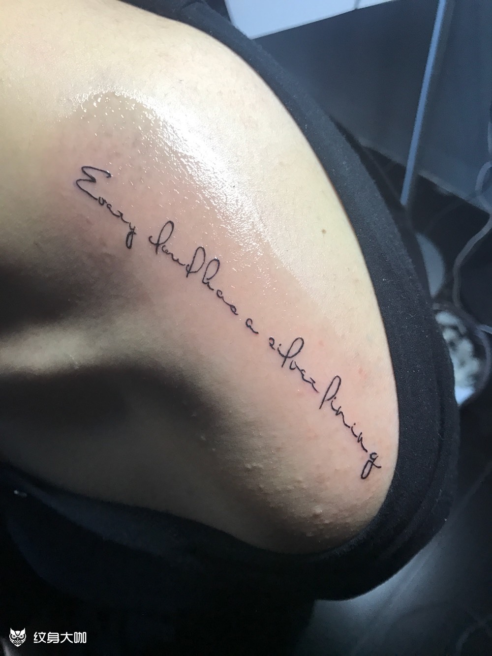 英文字母_纹身图案手稿图片_小伟的纹身作品集