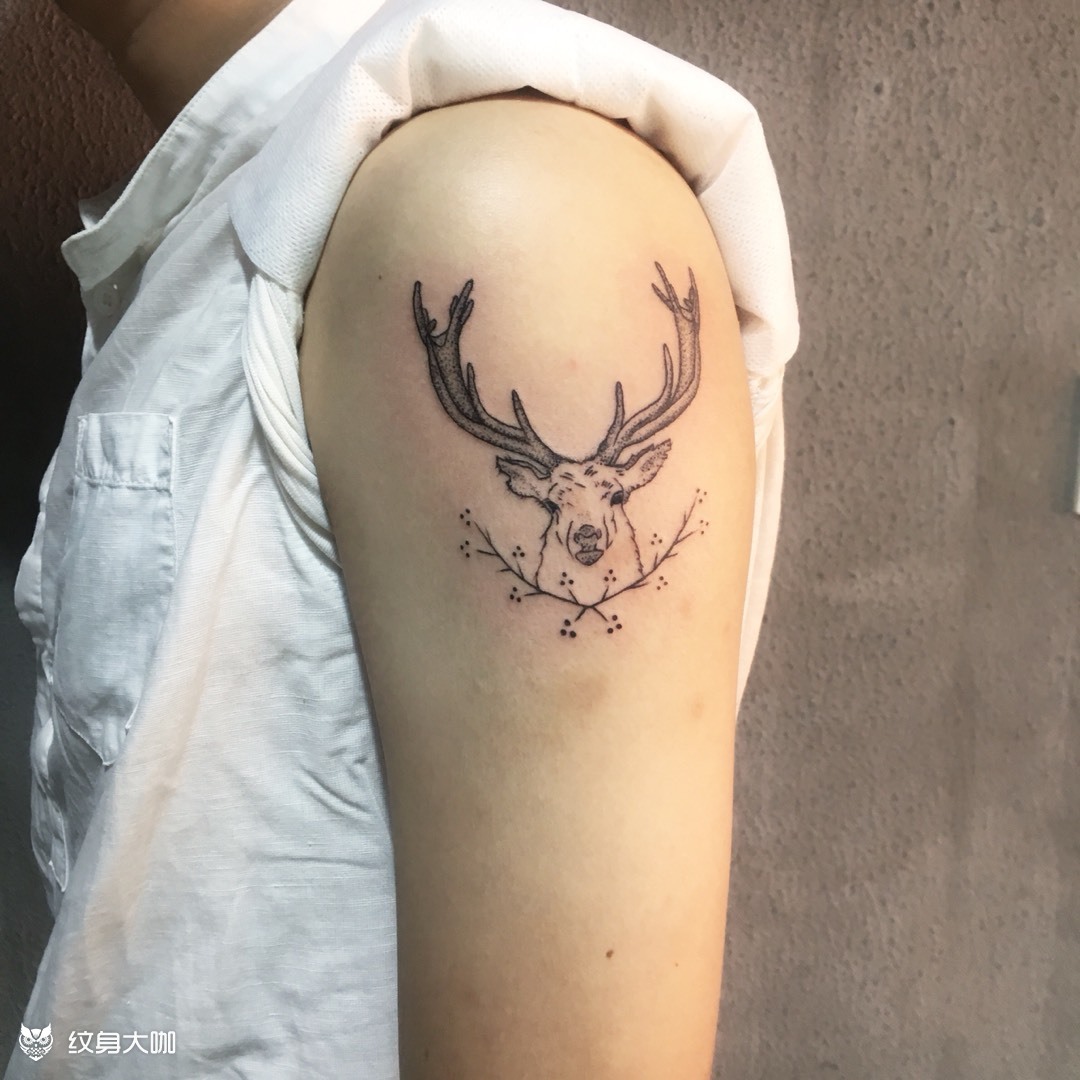 鹿_纹身图案手稿图片_嘉兴gstattoo-潘潘的纹身作品集