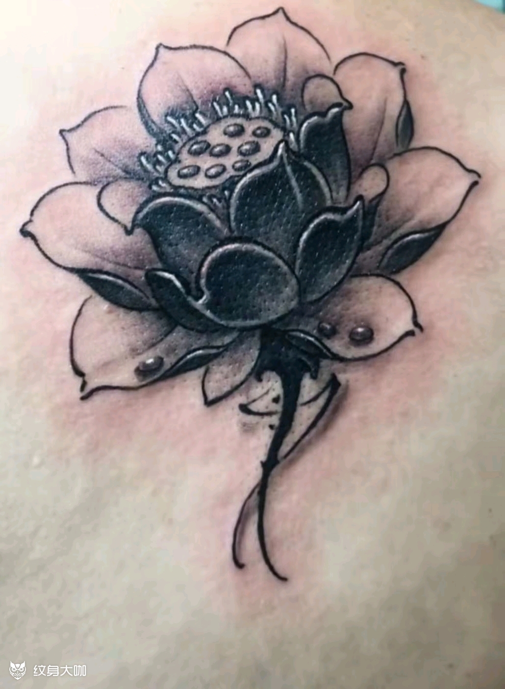 荷花_纹身图案手稿图片_xc.刺的纹身作品集