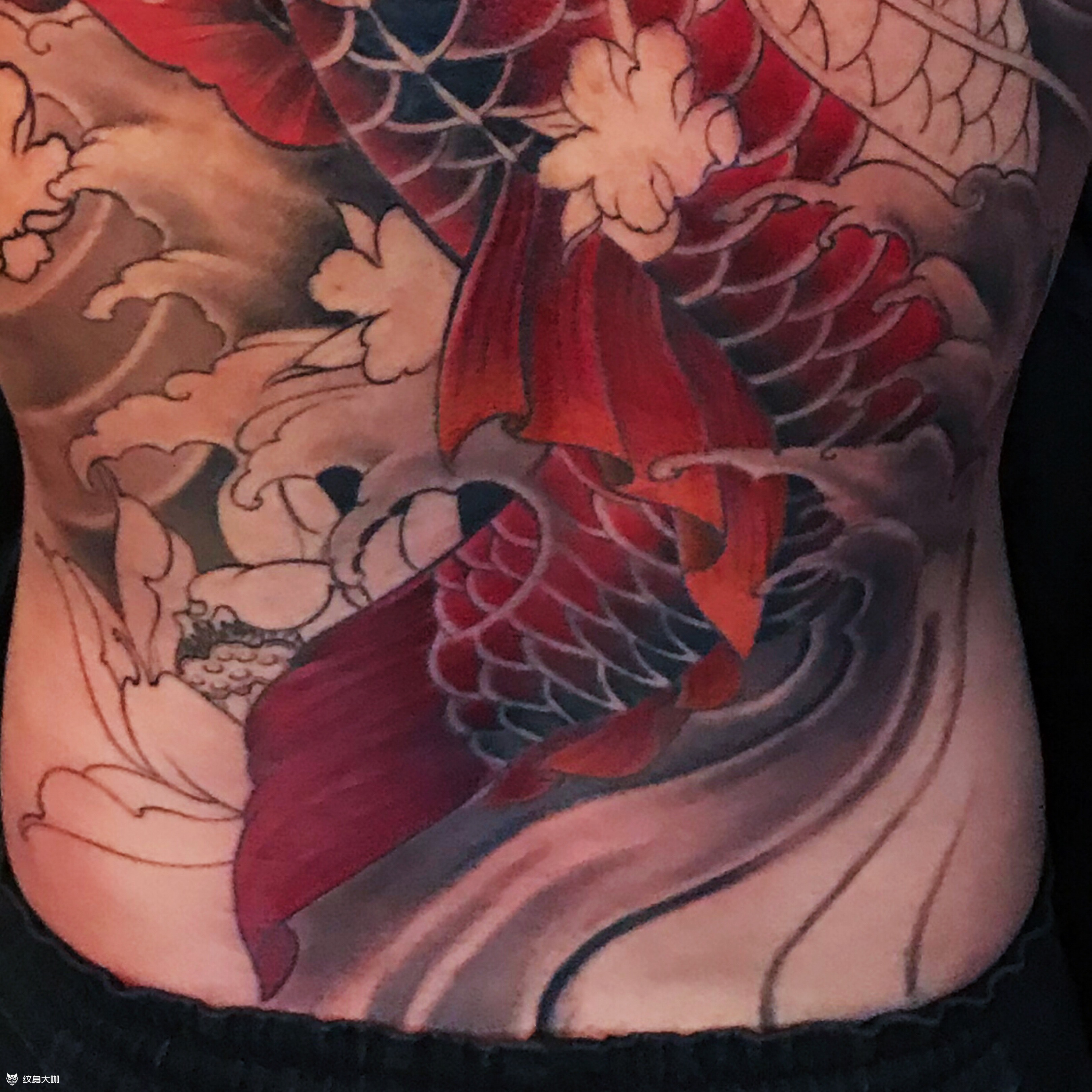 红鲤鱼_纹身图案手稿图片_小水的纹身作品集