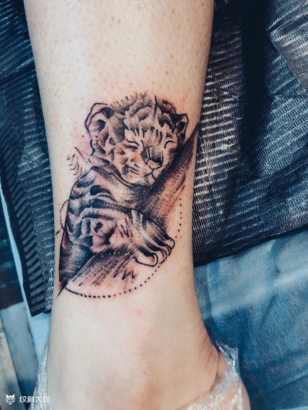 小老虎_纹身图案手稿图片_太和的纹身作品集