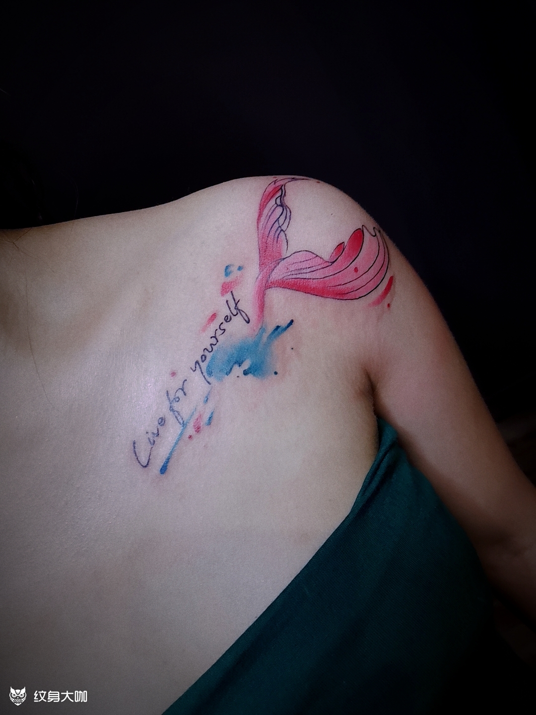 锁骨美人鱼尾_纹身图案手稿图片_南阳 山宗tattoo的纹身作品集