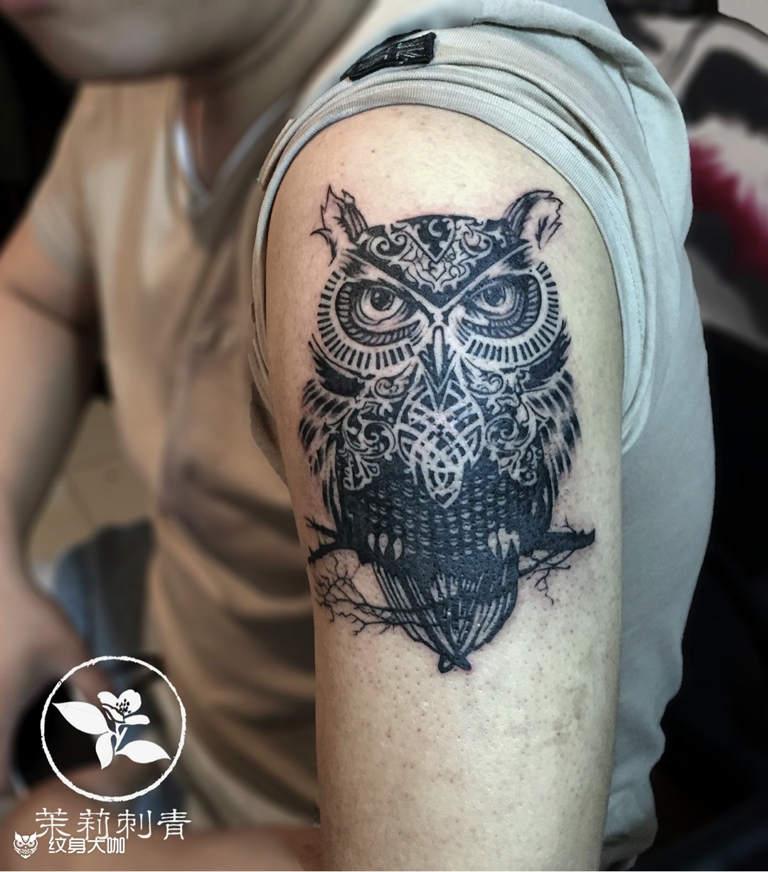 猫头鹰_纹身图案手稿图片_茉莉的纹身作品集