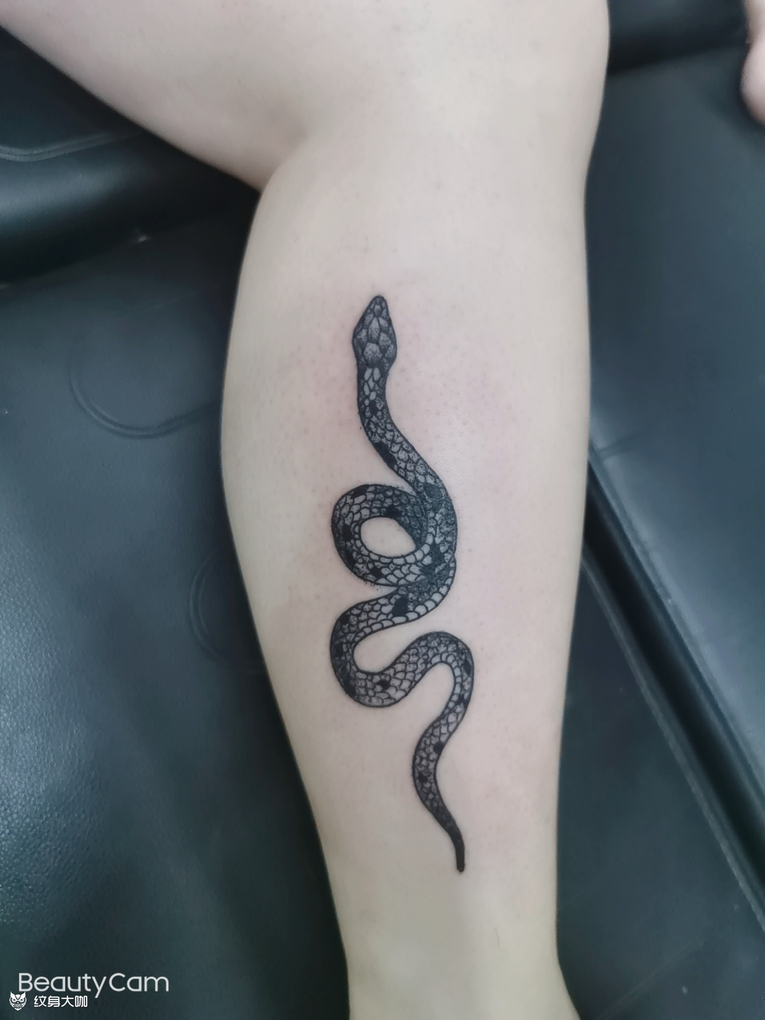 蛇_纹身图案手稿图片_jason的纹身作品集