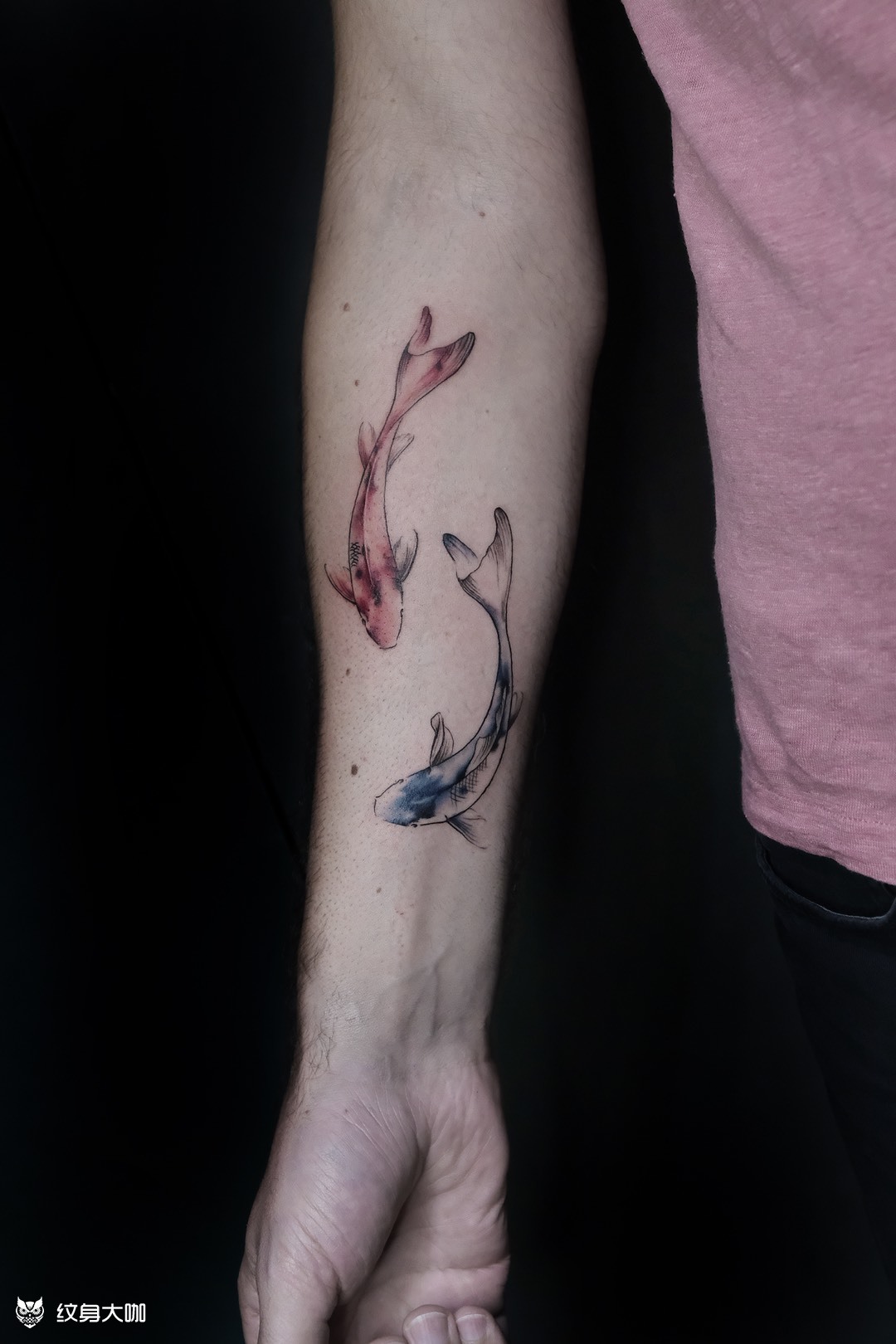 锦鲤_纹身图案手稿图片_译的纹身作品集