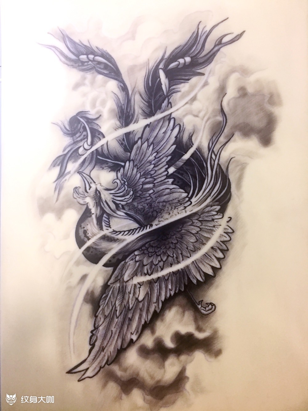 凤凰_纹身图案手稿图片_小璐的纹身作品集