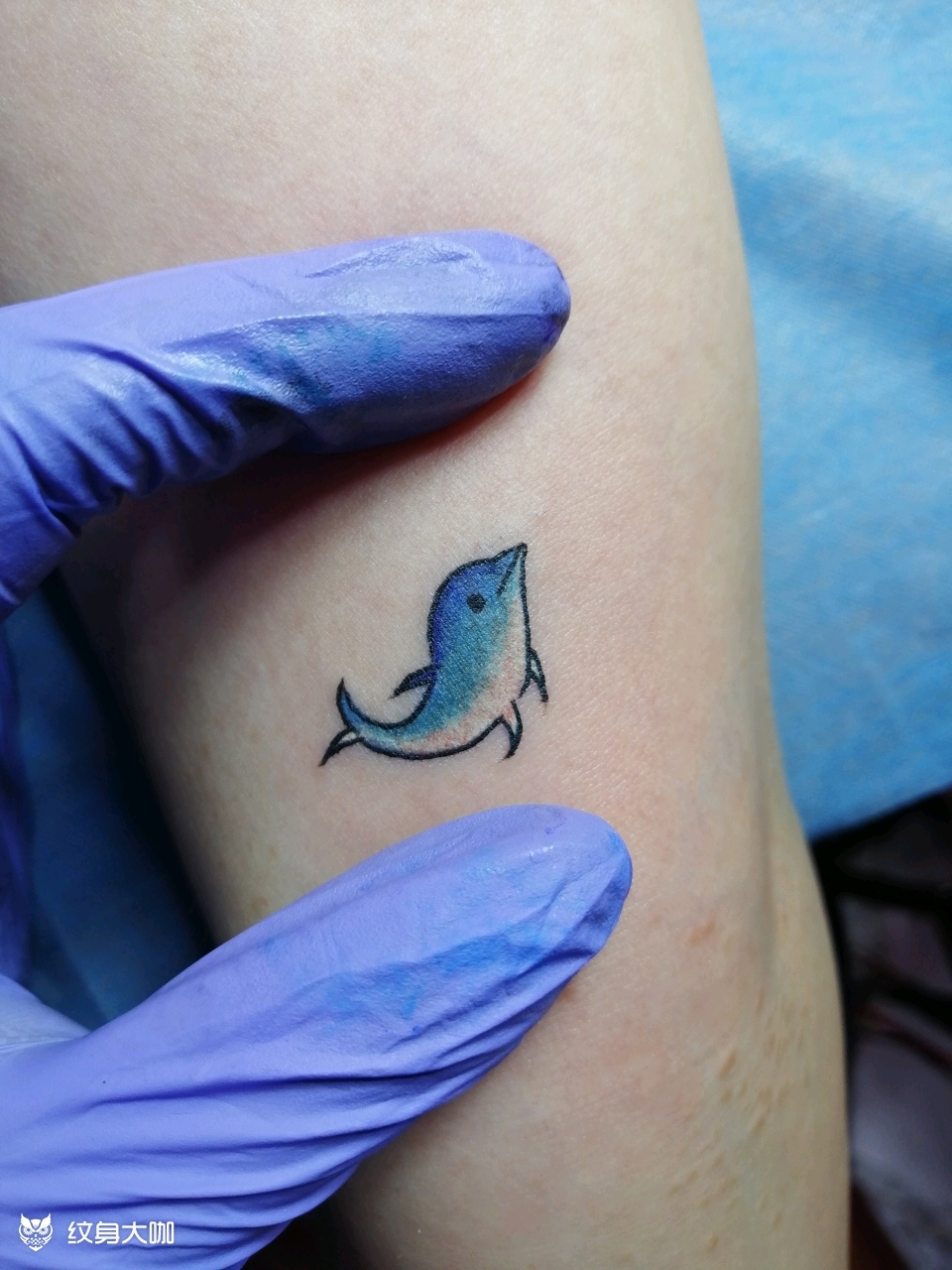超级小海豚98_纹身图案手稿图片_匠人精神-奉先传承的纹身作品集