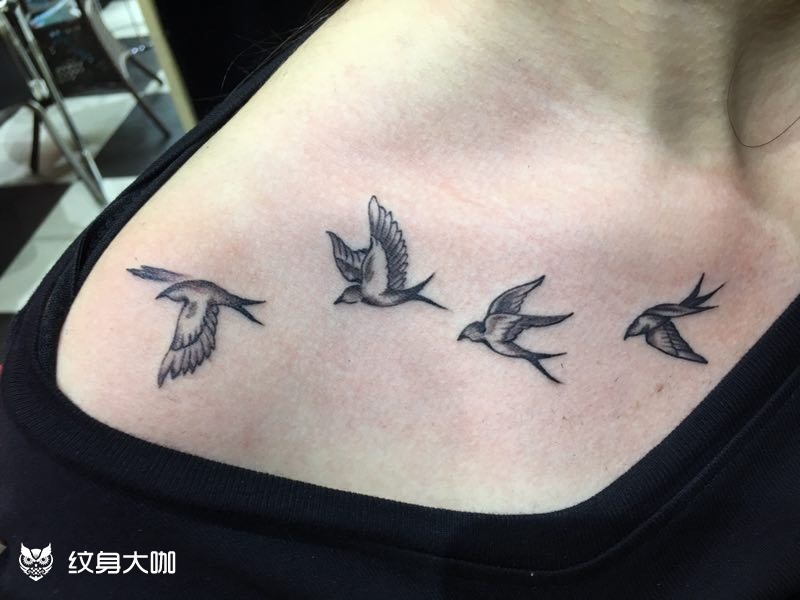 燕子_纹身图案手稿图片_可儿@的纹身作品集
