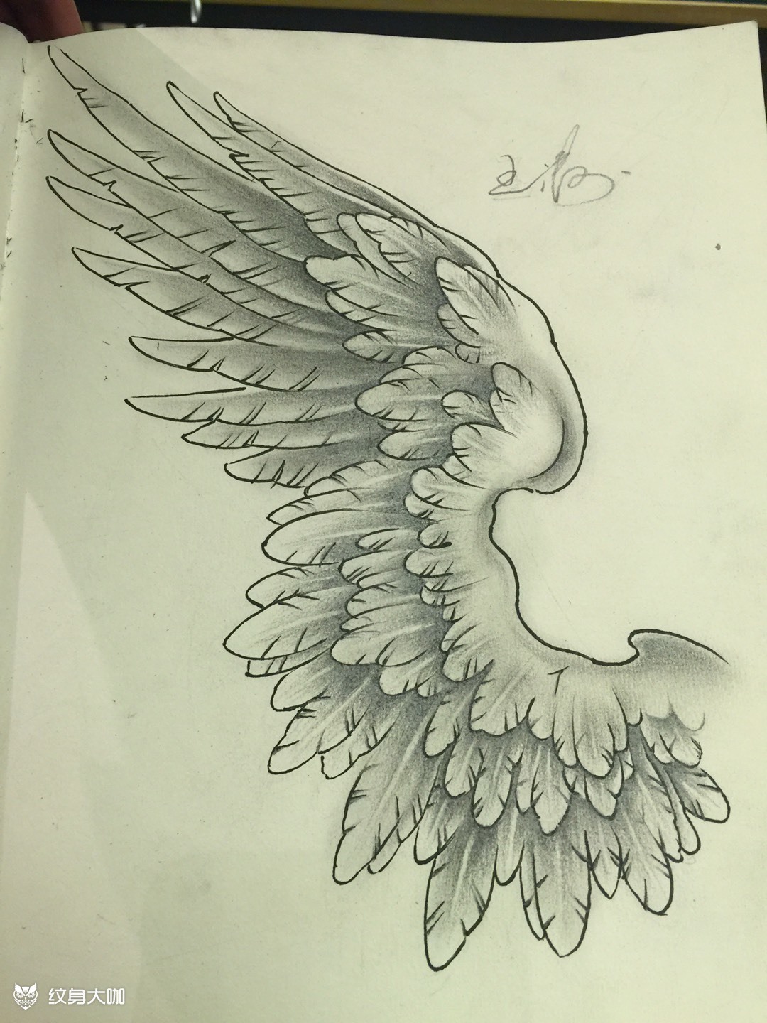 翅膀纹身手稿手臂图片