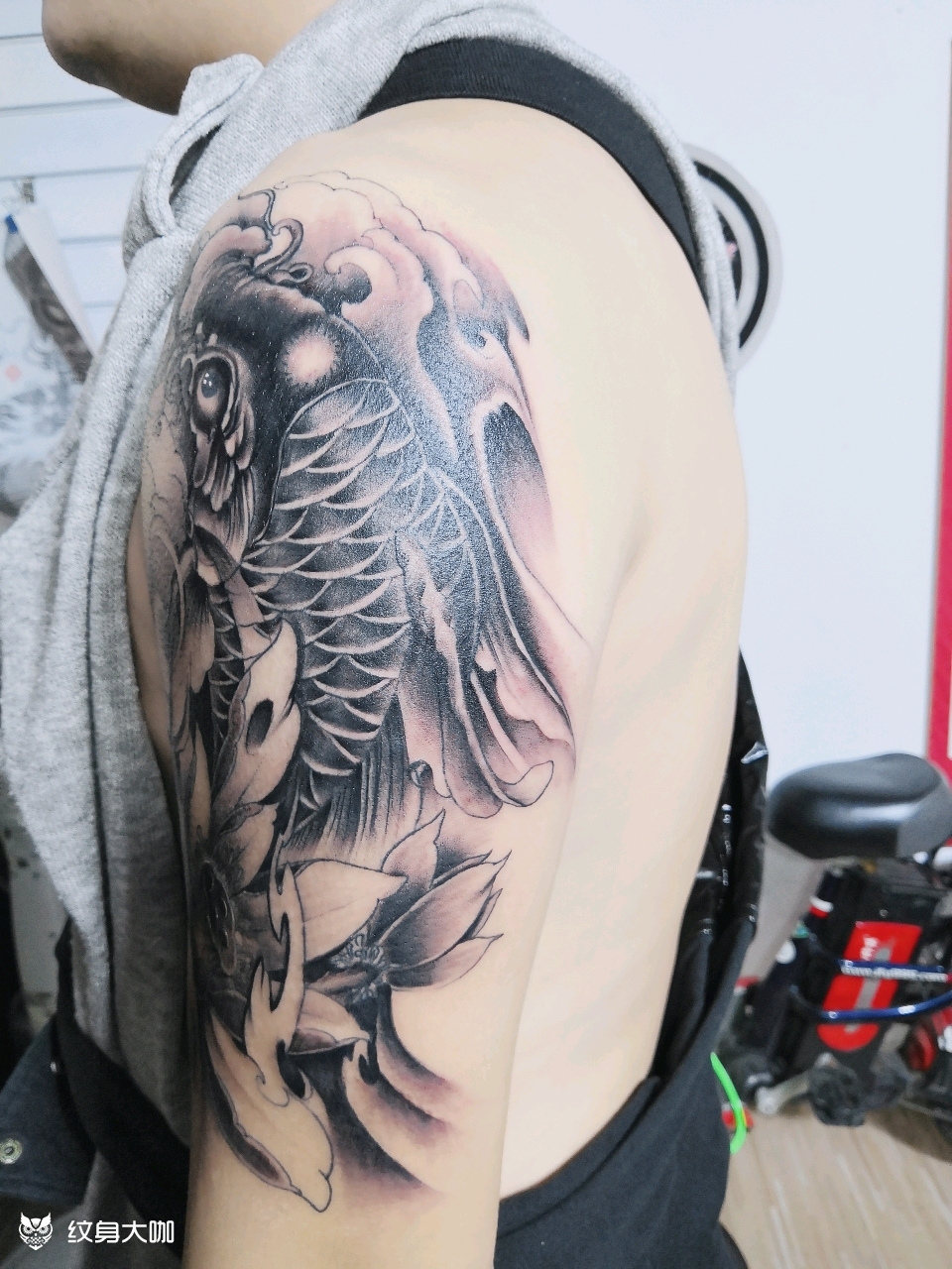 锦鲤_纹身图案手稿图片_凌云刺客的纹身作品集