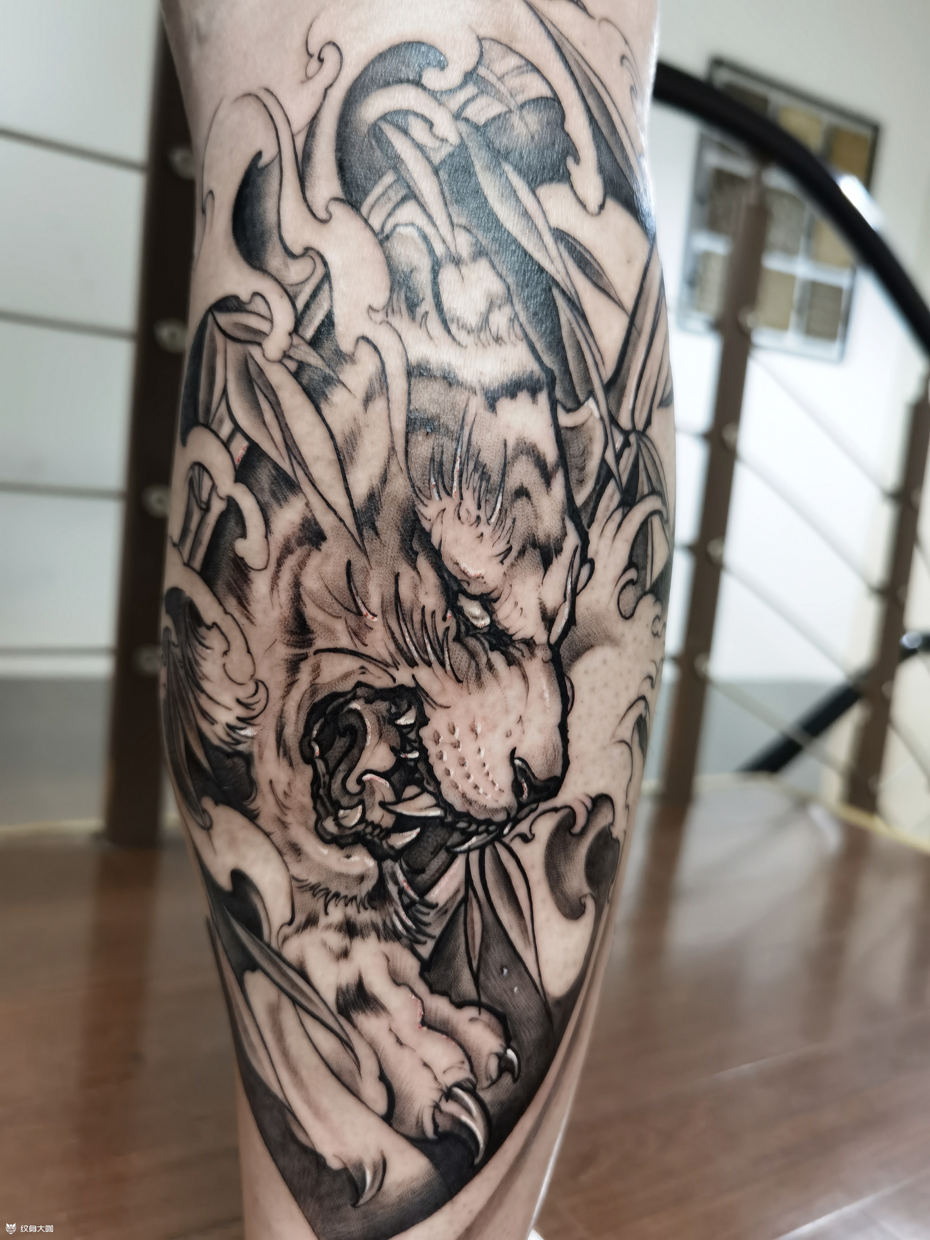 传统老虎 小腿【风格】新传统_纹身吧社区 - 纹身大咖