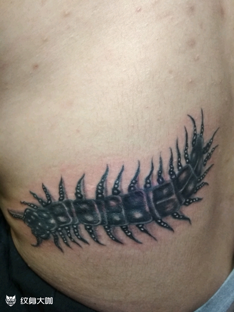 蜈蚣_纹身图案手稿图片_杨建文的纹身作品集