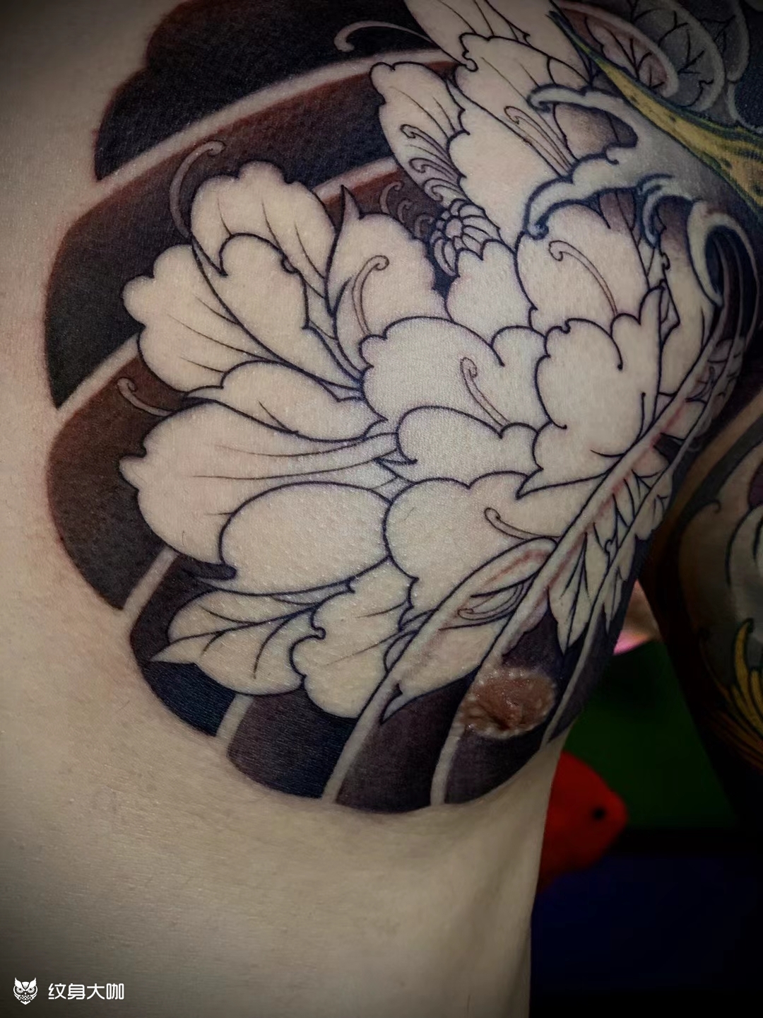 半甲_纹身图案手稿图片_婉艺的纹身作品集