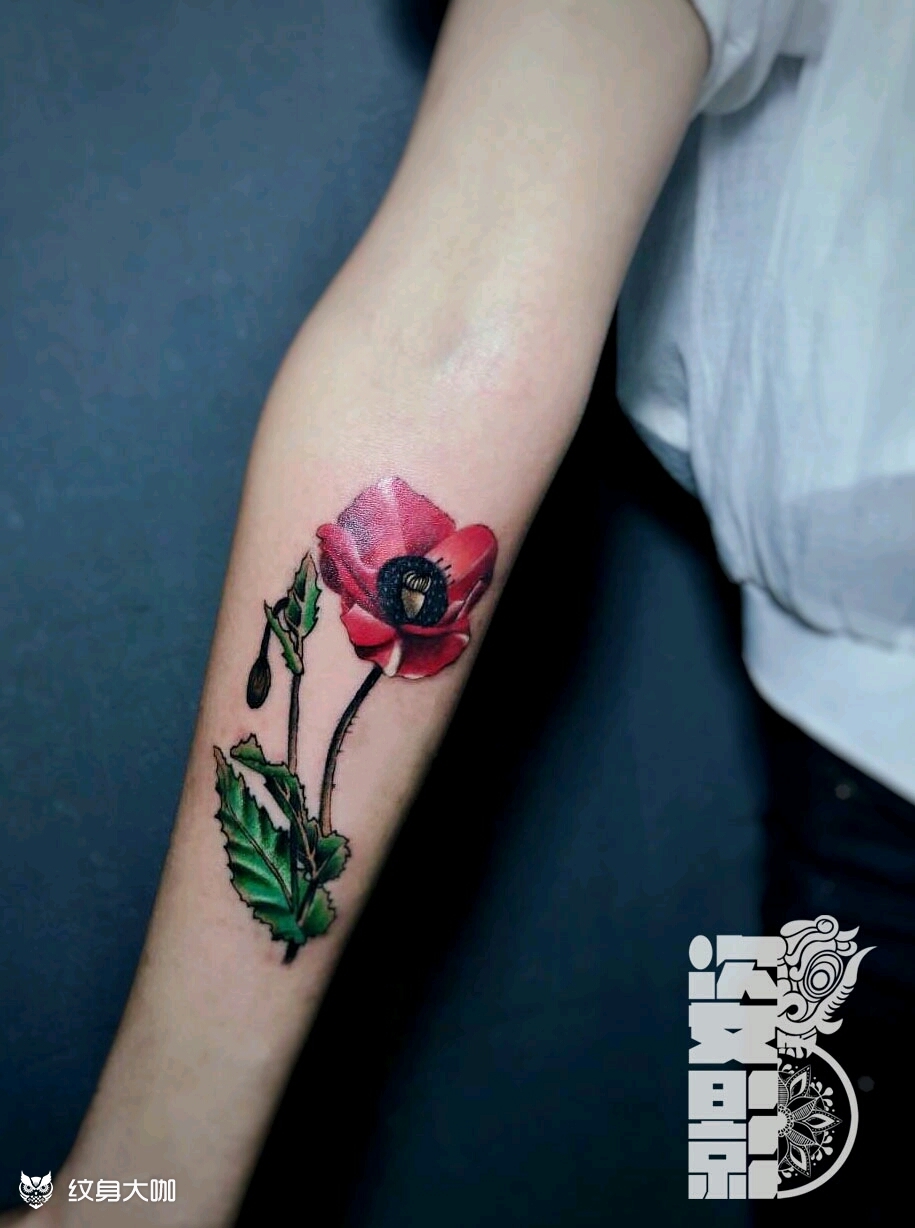 罂粟花_纹身图案手稿图片_阿宏的纹身作品集