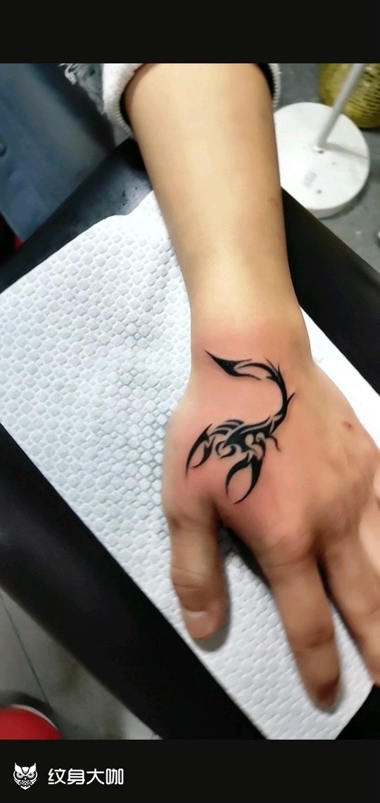 蝎子_纹身图案手稿图片_飞的纹身作品集