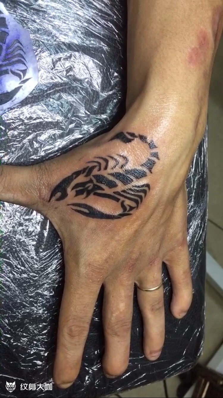 蝎子_纹身图案手稿图片_五哥的纹身作品集