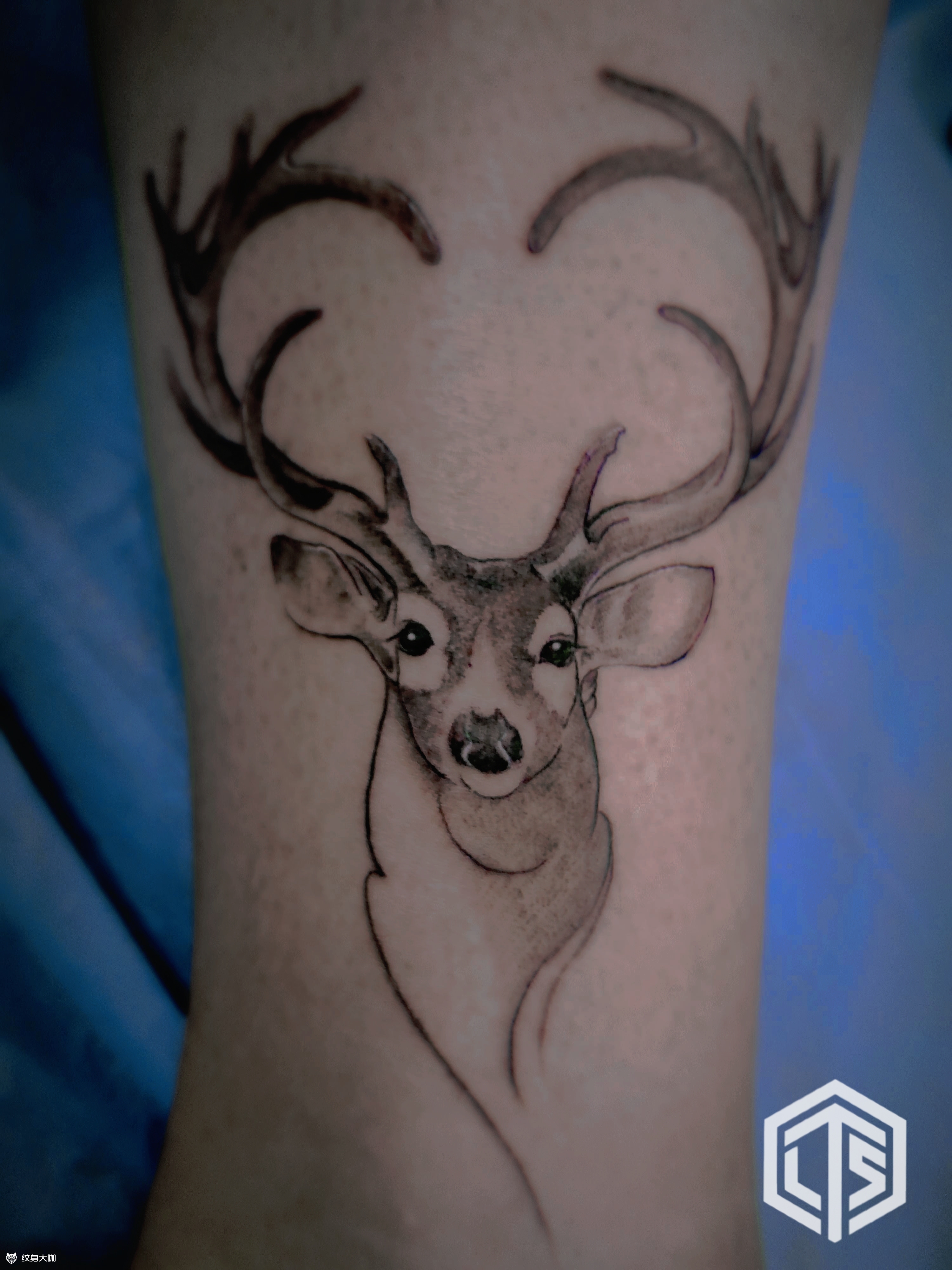 鹿鹿鹿_纹身图案手稿图片_大宝的纹身作品集