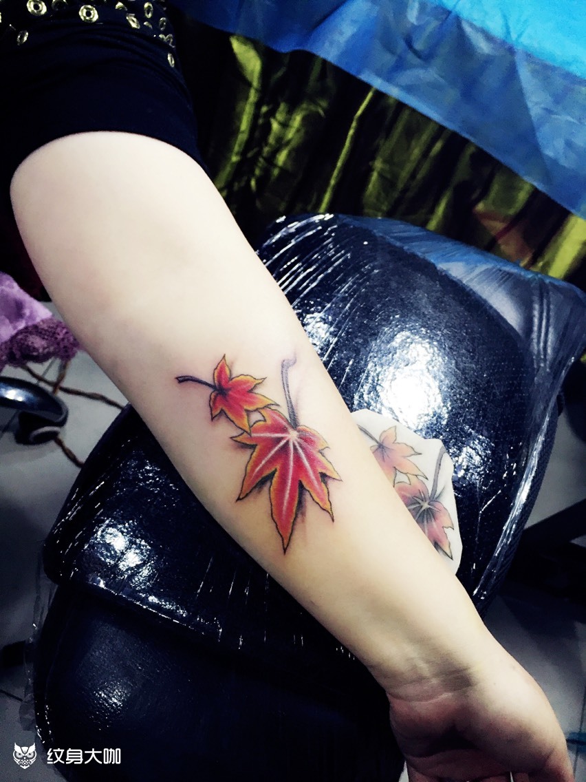 枫叶_纹身图案手稿图片_龙啸堂的纹身作品集