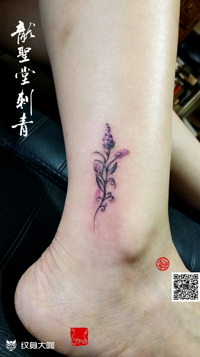 小小薰衣草_纹身图案手稿图片_龙圣堂的纹身作品集