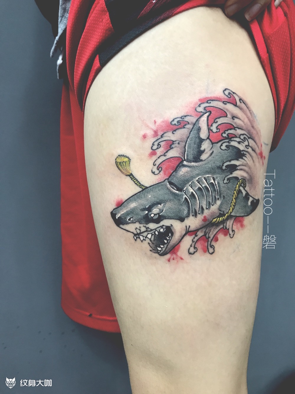 鲨鱼_纹身图案手稿图片_石宇诚的纹身作品集