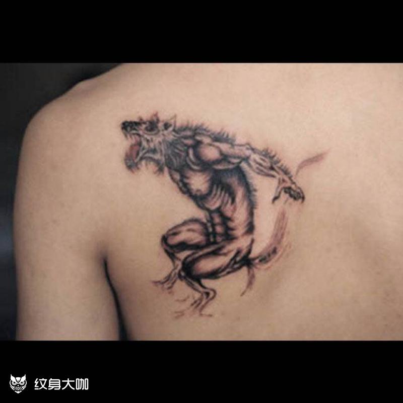 暮光之城狼人纹身图片图片