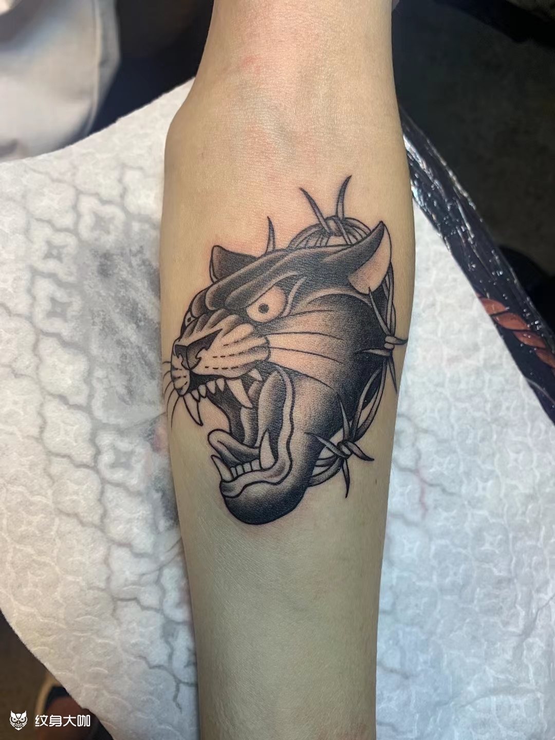 简简单单黑白oldschool_纹身吧社区 - 纹身大咖