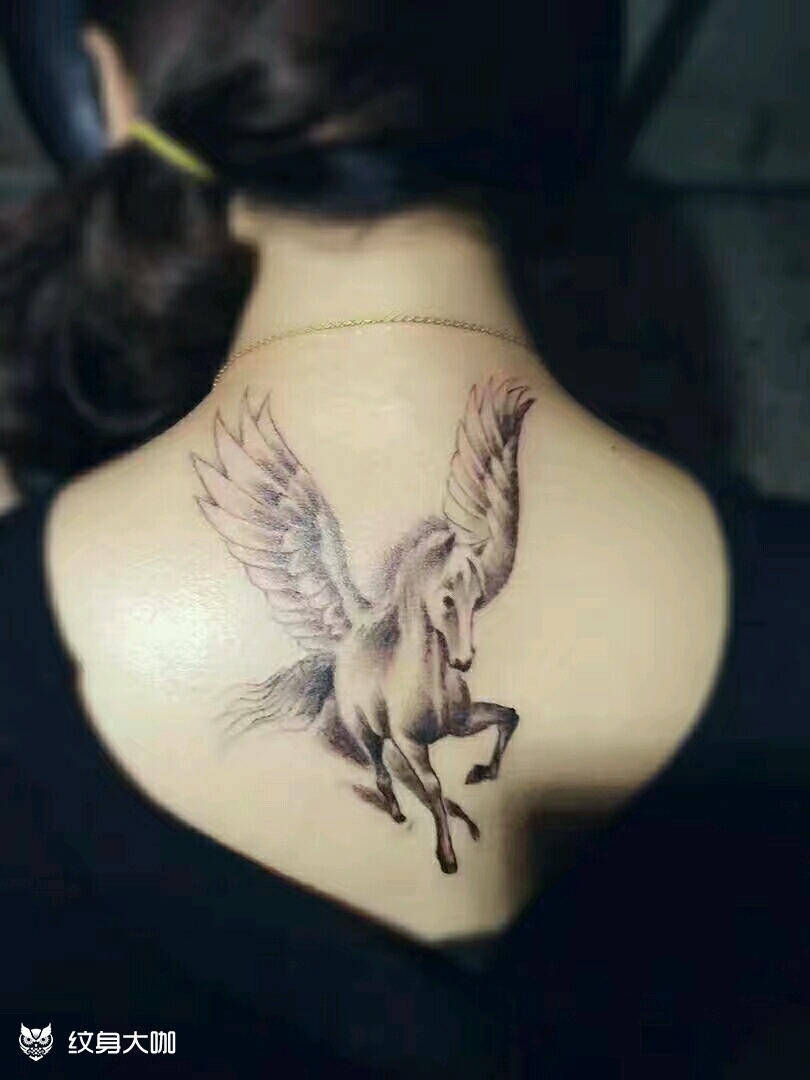 飞马_纹身图案手稿图片_囚狼的纹身作品集
