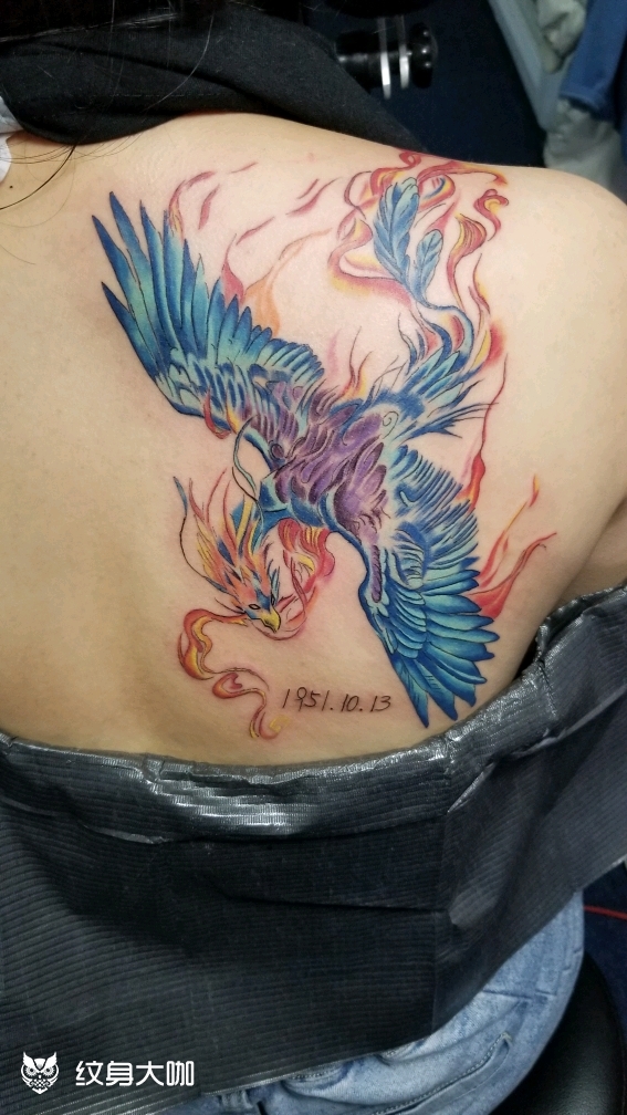 凤凰涅盘,浴火重生_纹身图案手稿图片_宗近的纹身作品集
