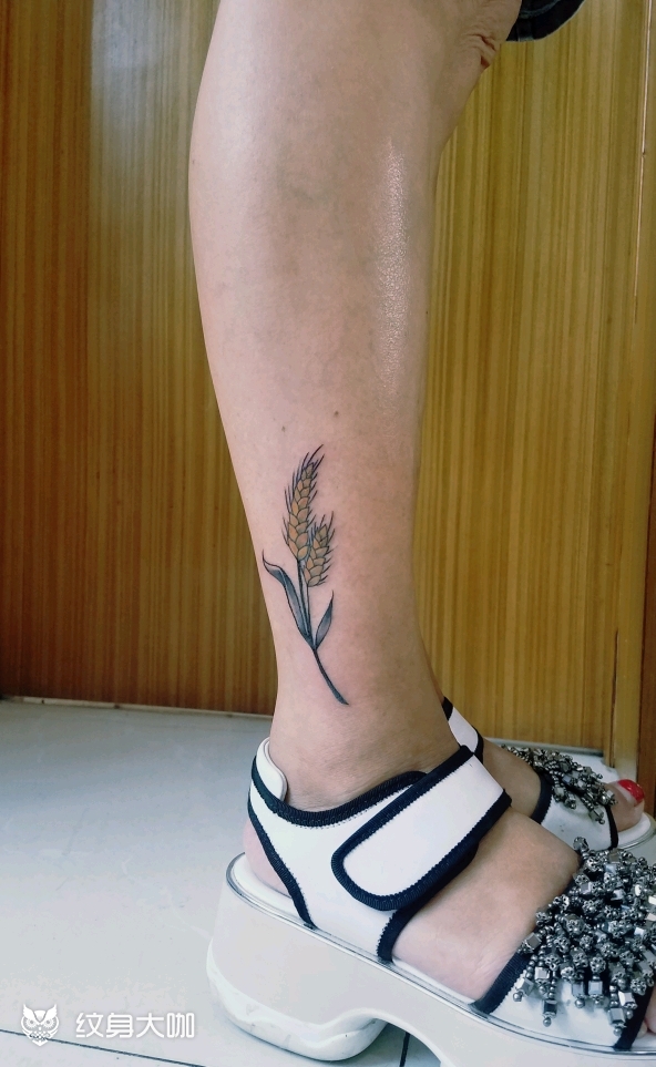 麦穗_纹身图案手稿图片_谭念的纹身作品集